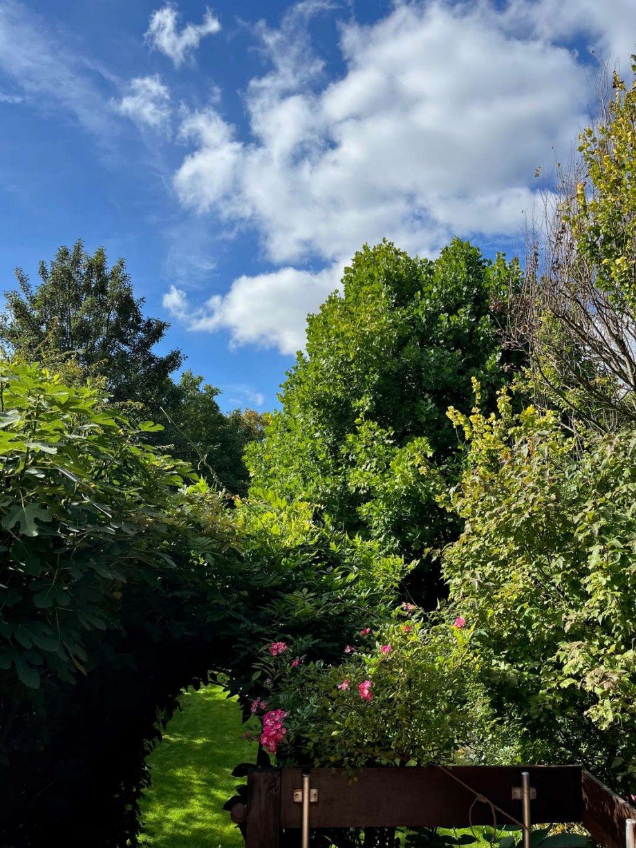 Garten Einfamilienhaus Hamburg